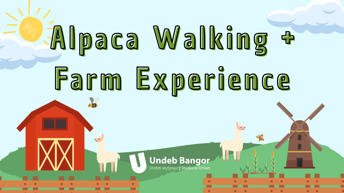 Free Summer Session: Alpaca Walking