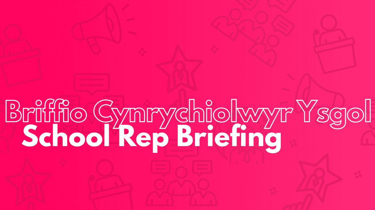 Briffio Cynrychiolwyr Ysgol - School Rep Briefing